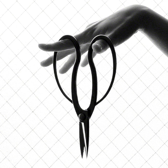 Beauty and Functionality of Traditional Bonsai Scissors with Butterfly Handle