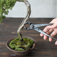 Laden Sie das Bild in den Galerie-Viewer, Wazakura Handgeschmiedete Knospenzange 8-1/4" (210 mm)