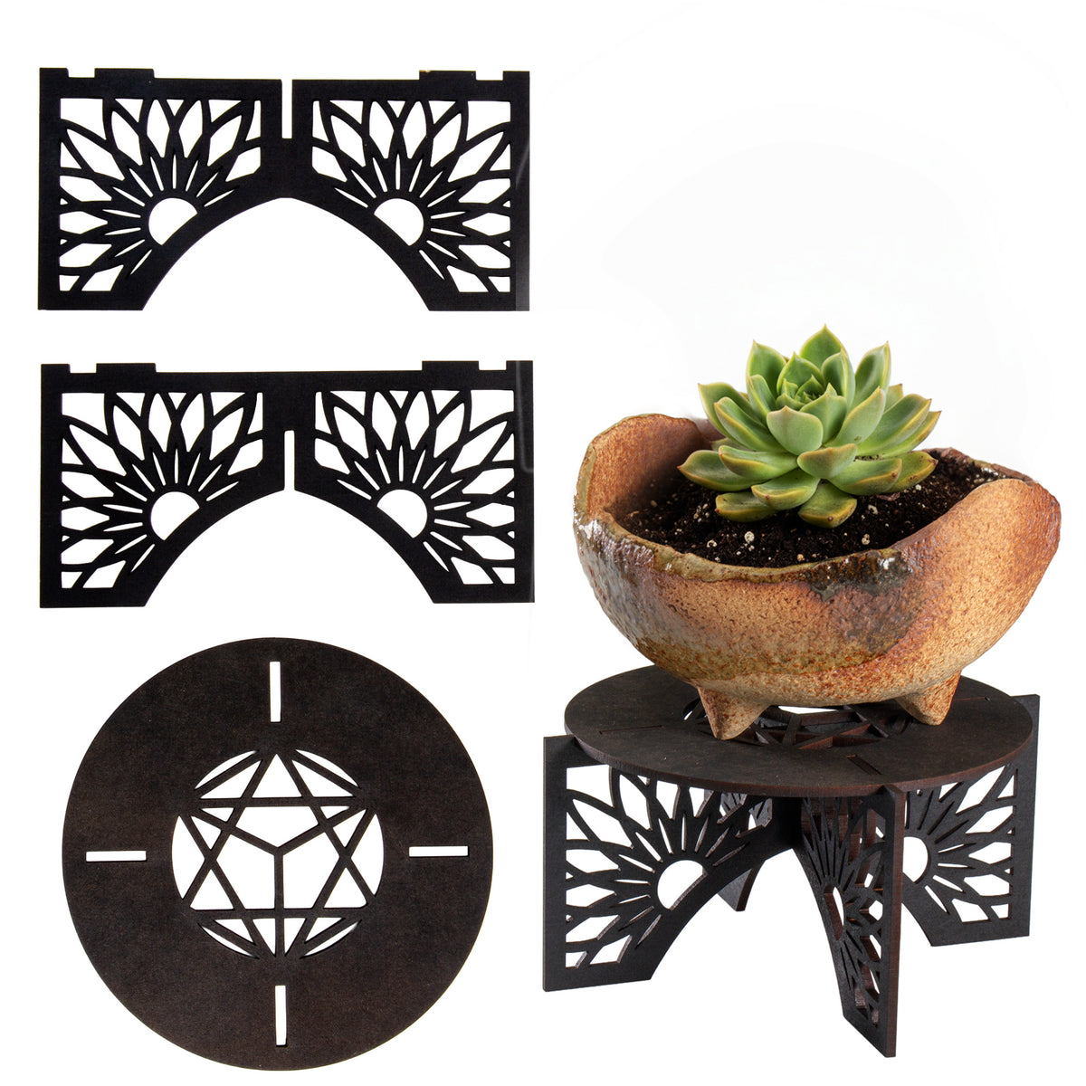 Wazakura Scorched Wood Plant & Bonsai Stand – Wazakura Japan