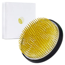 Laden Sie das Bild in den Galerie-Viewer, Ikebana Kenzan Japanese Flower Holder, Big Size, Round (3.5 in) (Brass)