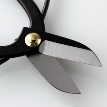 Laden Sie das Bild in den Galerie-Viewer, 3PCS Japanese Ikebana Essential Tool Set Koryu Black Kenzan - Wazakura Japan