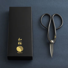 Laden Sie das Bild in den Galerie-Viewer, Yasugi Ashinaga Bonsai Scissors with Packaging