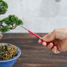 Laden Sie das Bild in den Galerie-Viewer, Shohin Double Jin Knife 6.8"(175 mm) - Wazakura Japan