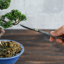 Laden Sie das Bild in den Galerie-Viewer, Spear Shaped Bonsai Chisel 7.2" (185 mm) - Wazakura Japan