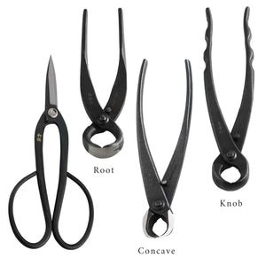 Ashinaga scissors with root concave and knob cutters