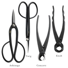 將圖片載入圖庫檢視器 Ashinaga Twig concave and Knob Close up