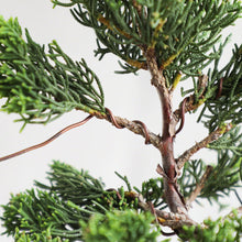 Load image into Gallery viewer, Annealed Copper Bonsai Training Wire 300g, 1.2mm - 2.0mm - Wazakura Japan