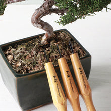 Laden Sie das Bild in den Galerie-Viewer, 3PCS 1.5mm Woodworking Chisel Kit - Wazakura Japan