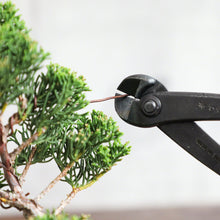 Load image into Gallery viewer, Annealed Copper Bonsai Training Wire 300g, 1.2mm - 2.0mm - Wazakura Japan