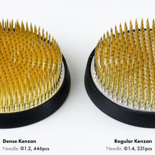將圖片載入圖庫檢視器 comparison between the needle of the dense kenzan and regular kenzan