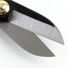 Laden Sie das Bild in den Galerie-Viewer, Close up on Ikenobo Scissors Blades
