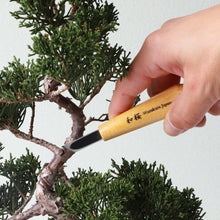 Laden Sie das Bild in den Galerie-Viewer, Bevel Skewed Carving Chisel - Wazakura Japan