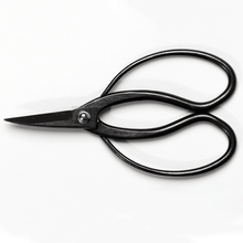 Laden Sie das Bild in den Galerie-Viewer, Horonzitalview of the Traditional Scissors