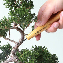 Laden Sie das Bild in den Galerie-Viewer, Bevel Skewed Carving Chisel - Wazakura Japan