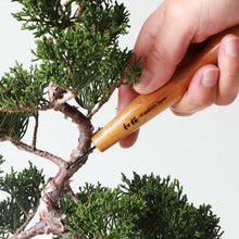 Load image into Gallery viewer, Round Gouge Carving Chisel - Wazakura Japan