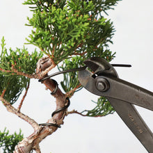 將圖片載入圖庫檢視器 Black Aluminum Bonsai Training Wire 150g, 1mm - 6mm - Wazakura Japan