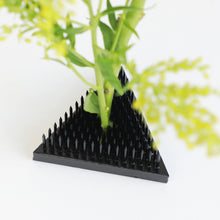 將圖片載入圖庫檢視器 close up on a flower stem placed on a Black Triangle Kenzan