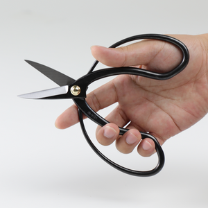 hand holding Traditional Scissors with white background