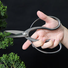Laden Sie das Bild in den Galerie-Viewer, Traditional Bonsai Scissors 7"(180mm) Stainless Steel - Wazakura Japan
