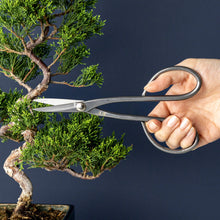 Laden Sie das Bild in den Galerie-Viewer, Stainless Yasugi Steel Made in Japan Satsuki Bonsai Scissors 7" (180 mm) - Wazakura Japan