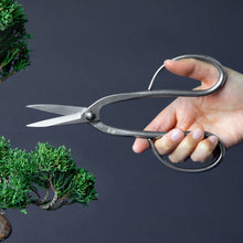 Laden Sie das Bild in den Galerie-Viewer, Stainless Yasugi Steel Ashinaga Bonsai Scissors 8"(200mm) - Wazakura Japan
