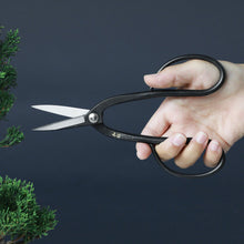 Laden Sie das Bild in den Galerie-Viewer, Pruning with Yasugi Ashinaga Bonsai Scissors