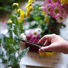 Laden Sie das Bild in den Galerie-Viewer, Hand using the satsuki cutting a flower stem