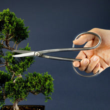 Laden Sie das Bild in den Galerie-Viewer, Stainless Yasugi Steel Made in Japan Twig Bonsai Scissors 8.27" - Wazakura Japan