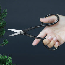Laden Sie das Bild in den Galerie-Viewer, Pruning with Yasugi Satsuki Bonsai Scissors