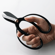 Laden Sie das Bild in den Galerie-Viewer, Hand holding the Koryu Floral Scissors