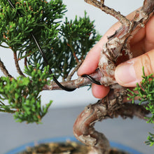 將圖片載入圖庫檢視器 Black Aluminum Bonsai Training Wire 150g, 1mm - 6mm - Wazakura Japan