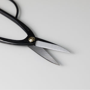Blades of the Ashinaga Scissors
