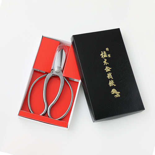 Stainless Koryu Ikebana Scissors in their original box