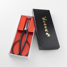 Load image into Gallery viewer, Ashinaga Bonsai Scissors in their original box
