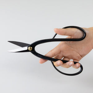 Hand holding Ashinaga Bonsai Scissors