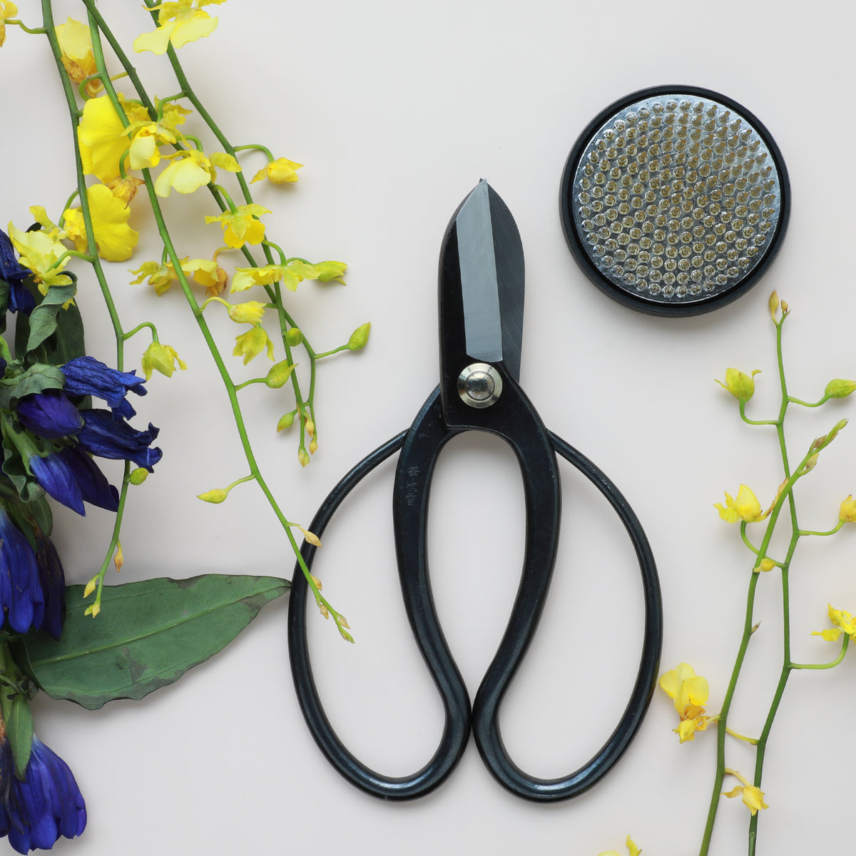 和楽器 Kissy koryu_104_1200x1200.jpg?v=