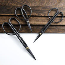 Load image into Gallery viewer, Two Twig models and Okubo bonsai scissors presented on wood plates