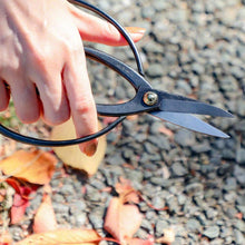 Laden Sie das Bild in den Galerie-Viewer, hand holding traditional bonsai with blades slighlty opened