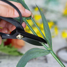 Laden Sie das Bild in den Galerie-Viewer, Koryu Floral Scissors cutting a stem