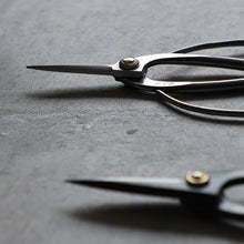 Load image into Gallery viewer, Close up on two Traditional Scissors blades
