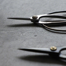 Laden Sie das Bild in den Galerie-Viewer, Close up on two Traditional Scissors blades