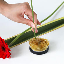 將圖片載入圖庫檢視器 Hand plamting a a flower stem on the radial kenzan