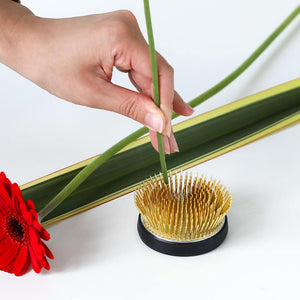 Hand plamting a a flower stem on the radial kenzan