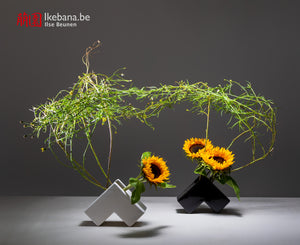 Ikebana Explained: A Guide to Japanese Flower Arranging - Sunset