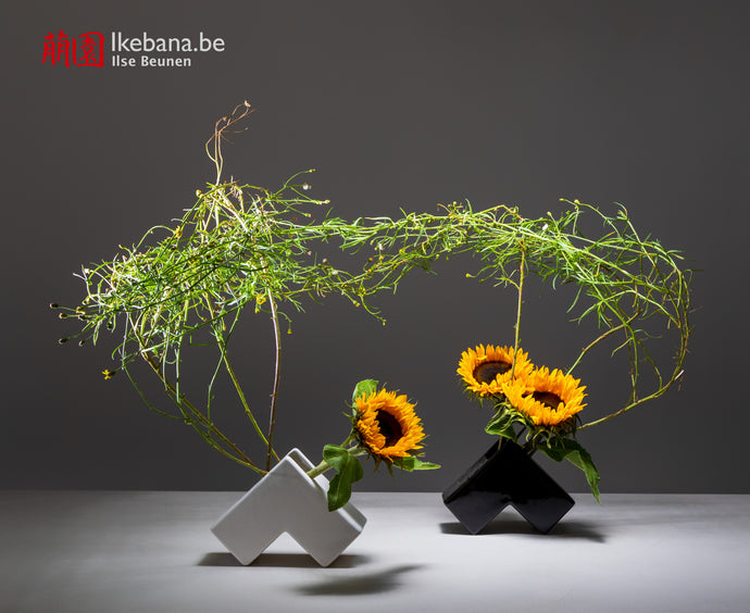 Ikebana's Role in Ecological Awareness by Ilse Beunen