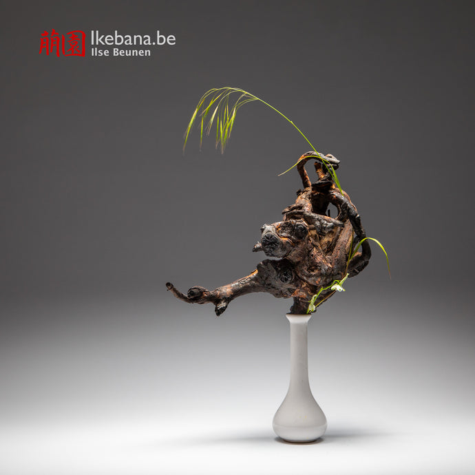 Imperfect is just Perfect: The Harmony of Ikebana and Wabi-Sabi - By Ilse Beunen