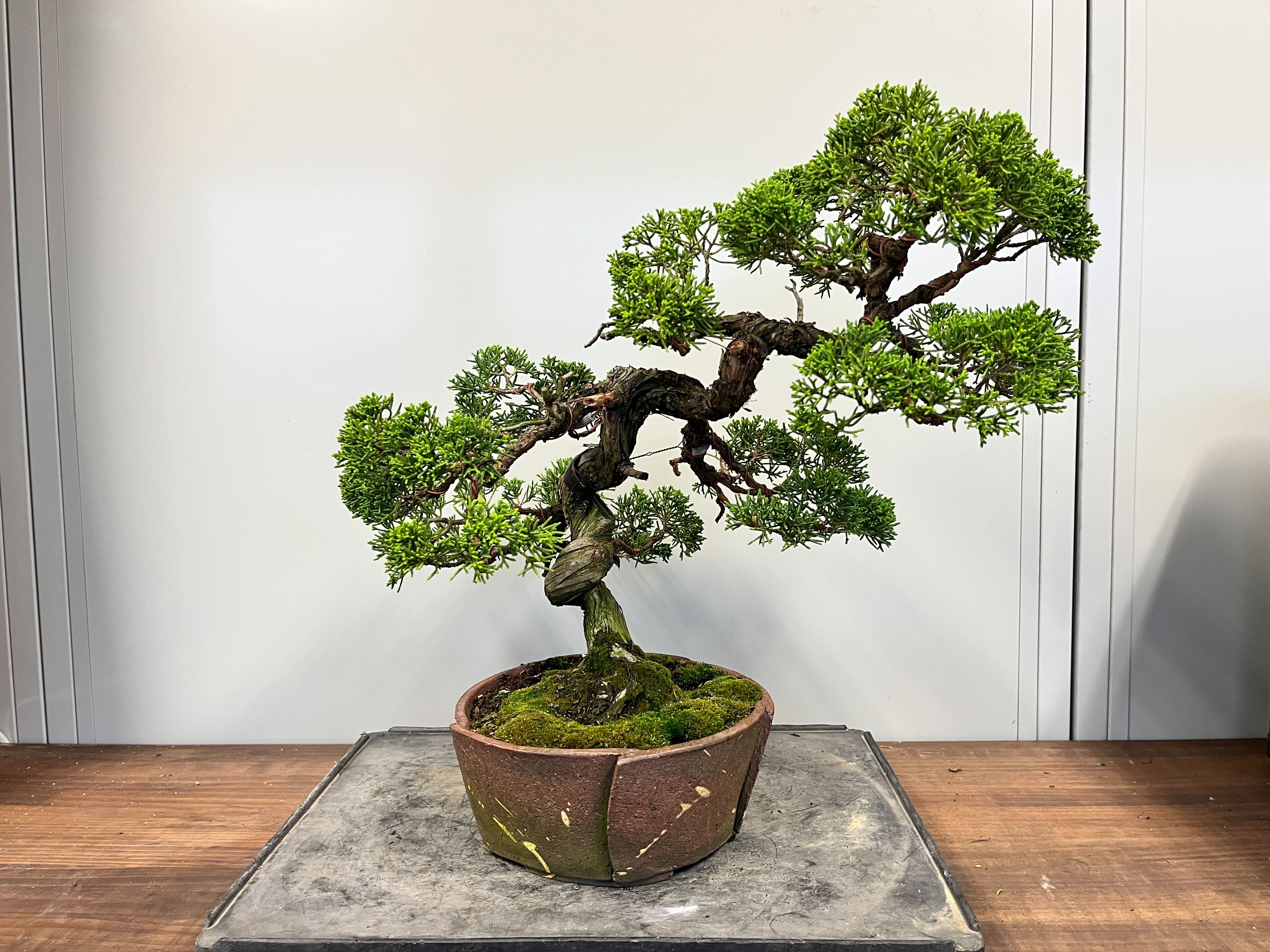 IMG_1357_4032x.jpg?v=1731302129 IMG_1357_4032x.jpg?v=1731302129