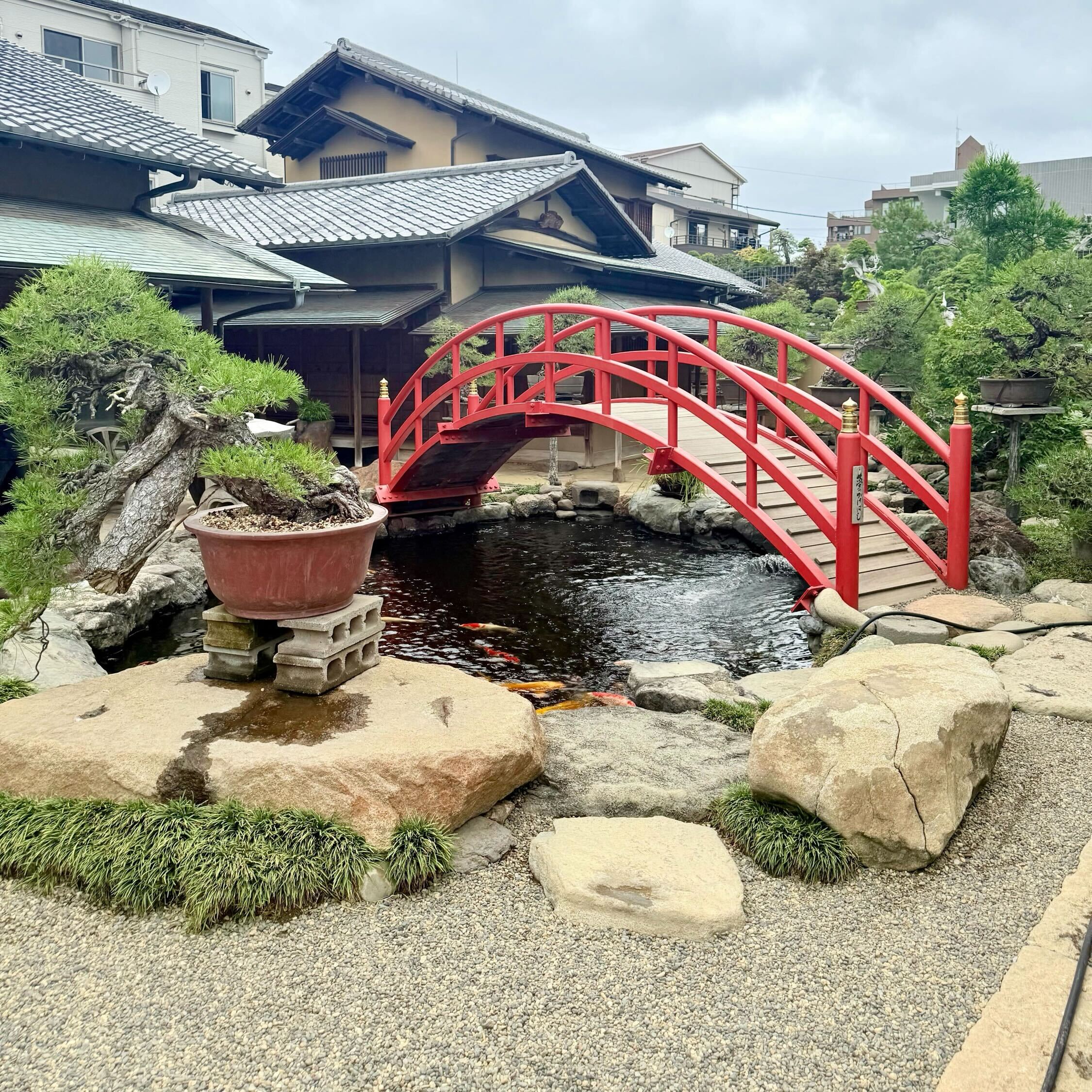 東京春花園盆栽美術館之旅– Wazakura Japan