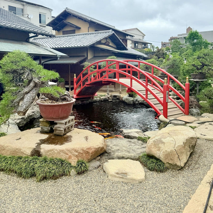 A Fascinating Visit to Shunkaen Bonsai Museum in Tokyo