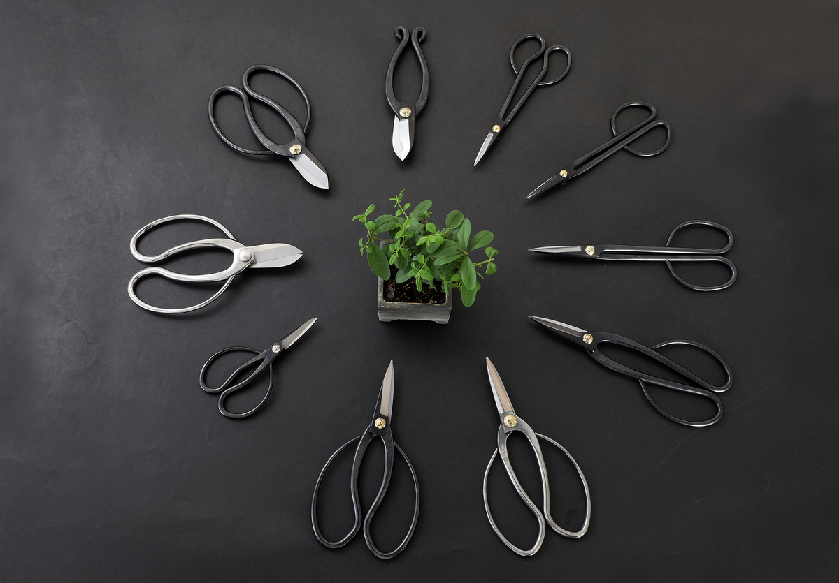 Types of Scissors for Your Bonsai Pruning Wazakura Japan